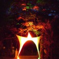 2009-entrada festa 