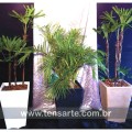 plantas e cachepos