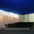 2011-envelopamento de salao_bicolor
